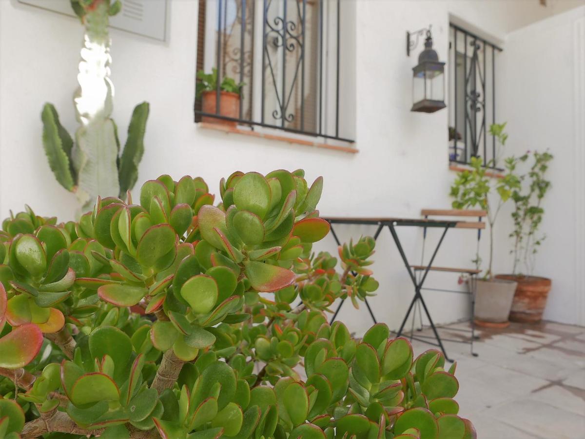 Amplio Y Con Encanto En El Centro Historico Tarifa Exterior foto